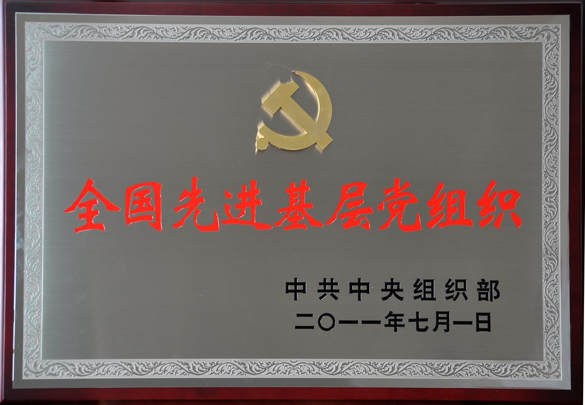 2011年7月，紅豆集團(tuán)黨委榮獲“全國先進(jìn)基層黨組織”稱號